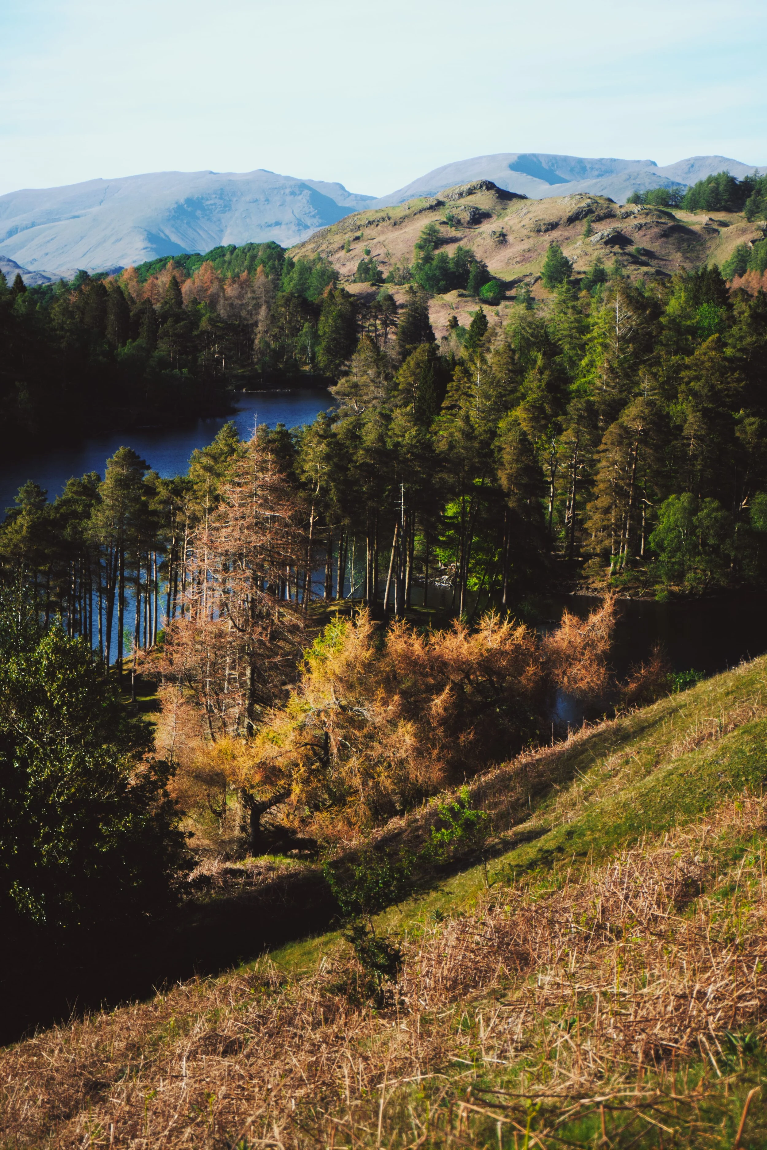 The clarity of the atmosphere was beautiful. From above Tarn Hows you can make out Fairfield (873 m/2,864 ft) on the right and Seat Sandal (736 m/2,415 ft) to the left.