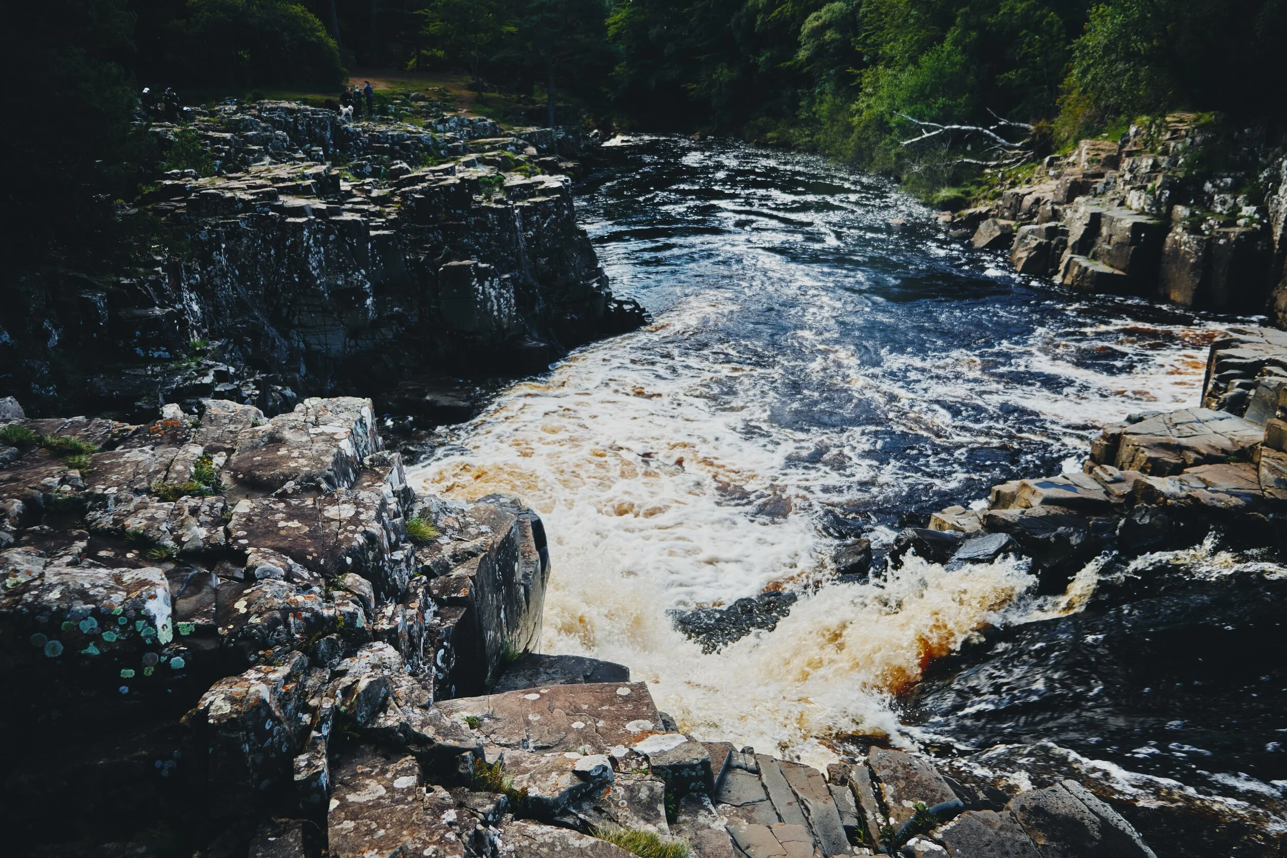  What I love about Low Force is that it&rsquo;s very easy to get right next to the falls, and really  feel  the roaring power of the water as it crashes down, carving out chunks of land. 