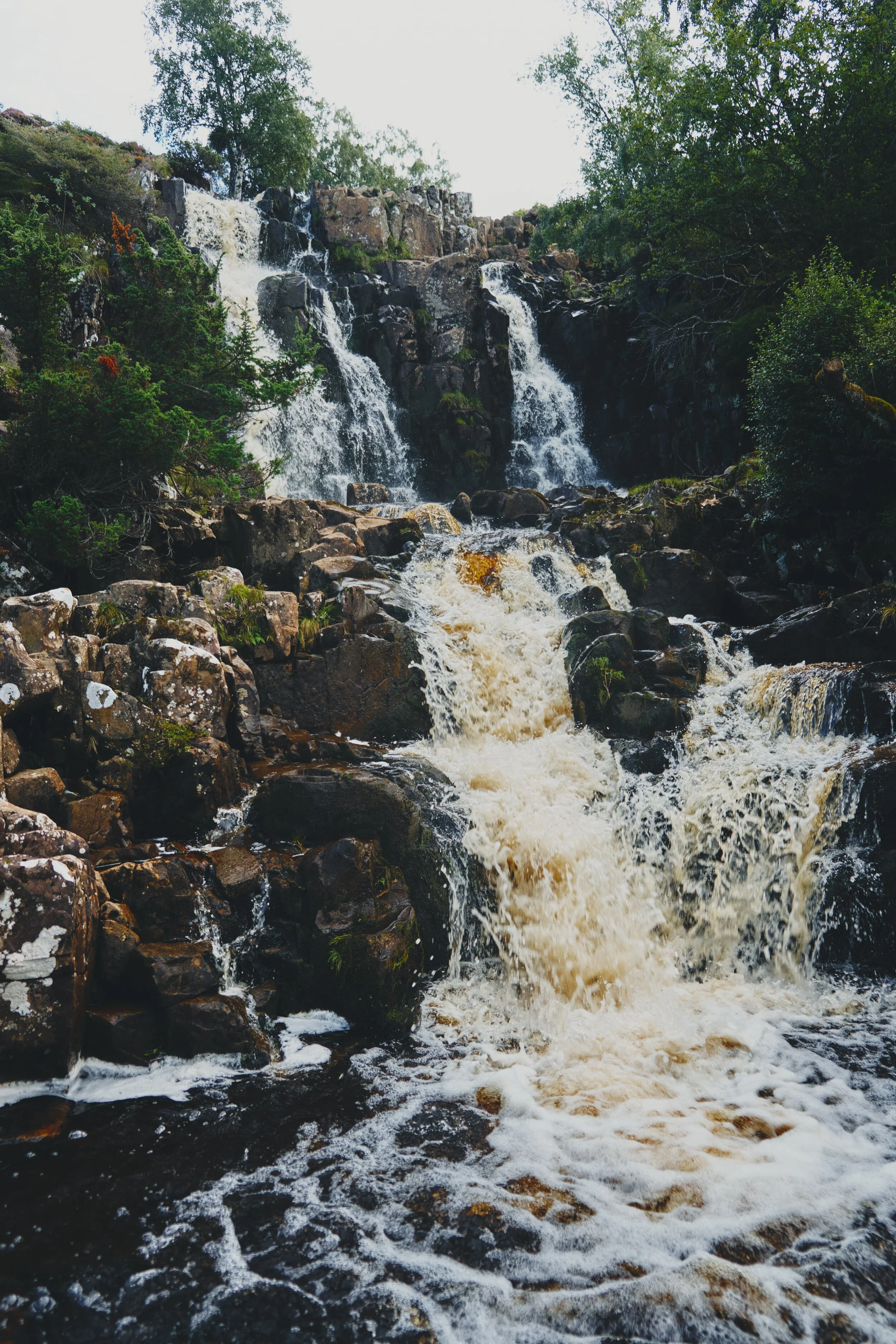  Our final destination in Upper Teesdale: Bleabeck Force. 