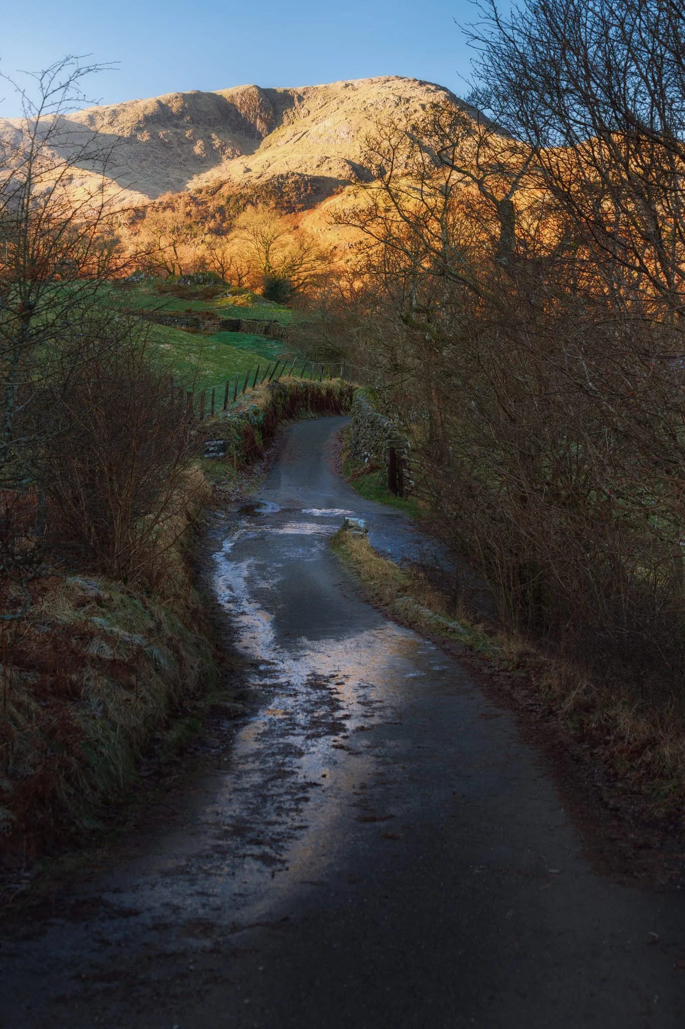 The lane known as Smithy Brow, with a glowing Wetherlam (763 m/2,503 ft) constantly demanding my attention.