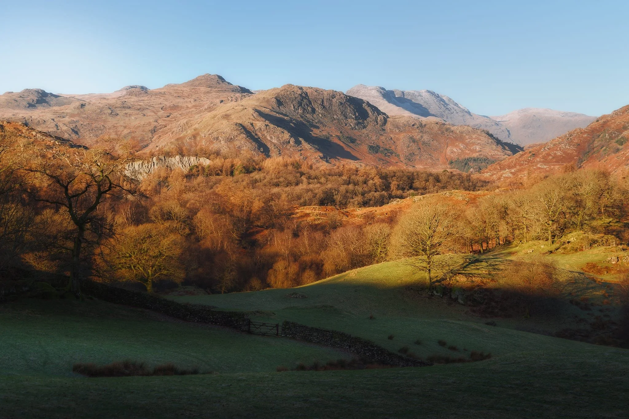 As Smithy Brow climbs higher, a clear section gives you this epic panorama of the Langdale fells. The peak left of centre is Pike o’ Blisco (705 m/2,313 ft) with Wrynose Fell’s steep crags below it. Centre-right is Bowfell.