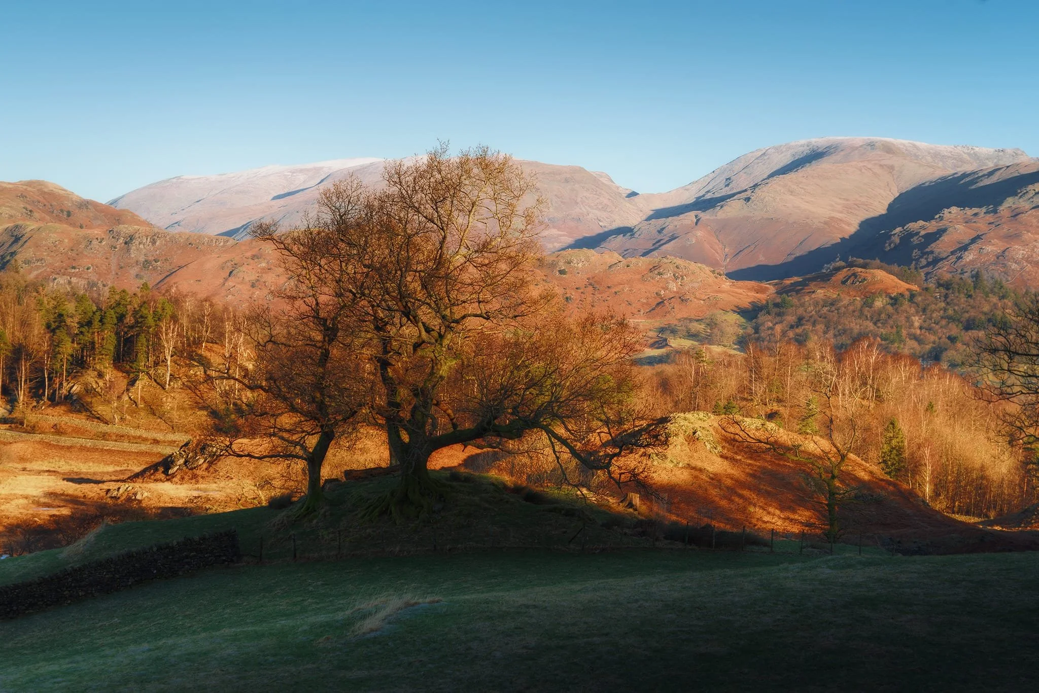 Looking east from the same vantage point. Golden light bringing out the rusty hues of the bracken-covered fells.