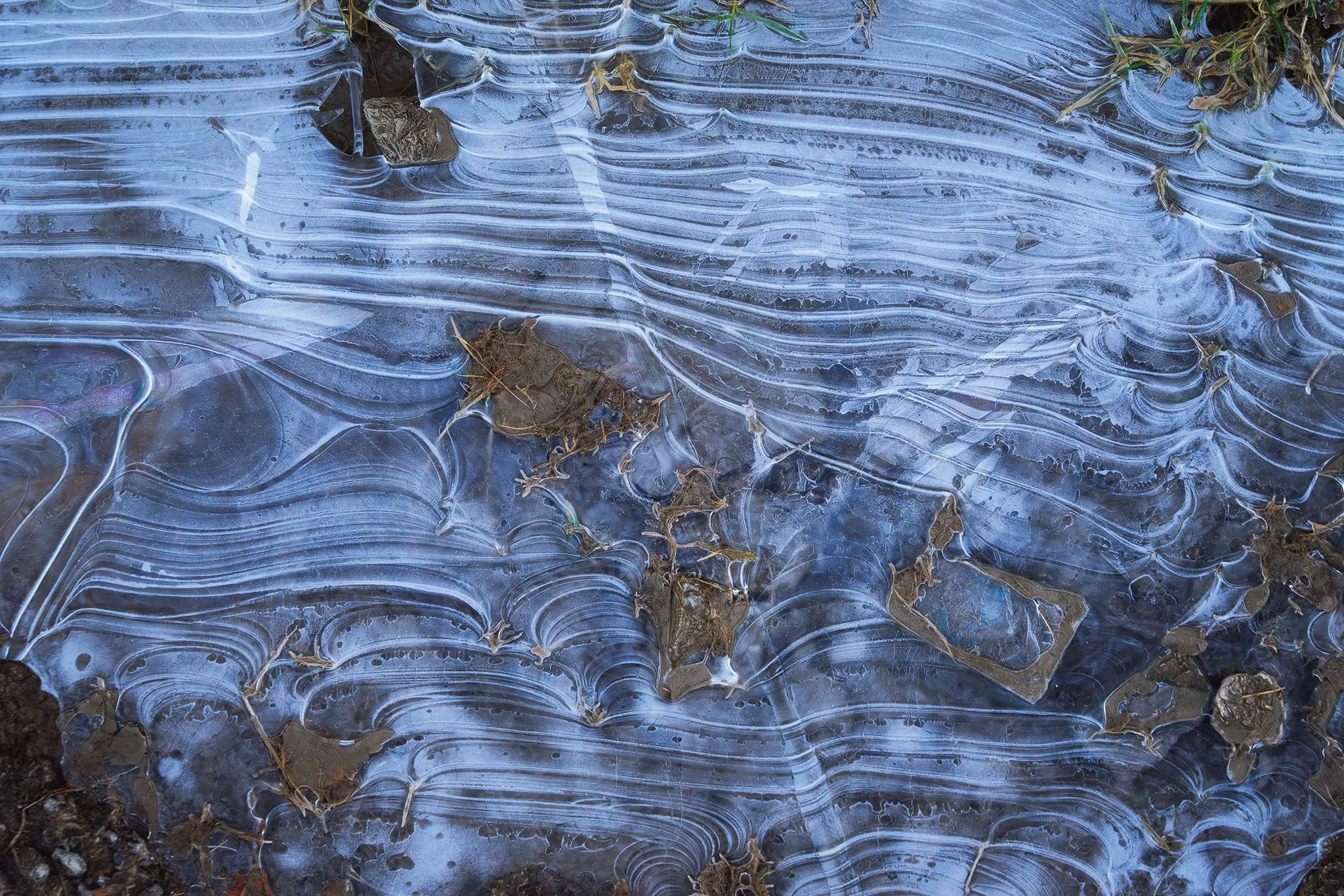 Nearing Hodge Close Quarry, another frozen puddle catches my eye with these wonderful waves and curves.