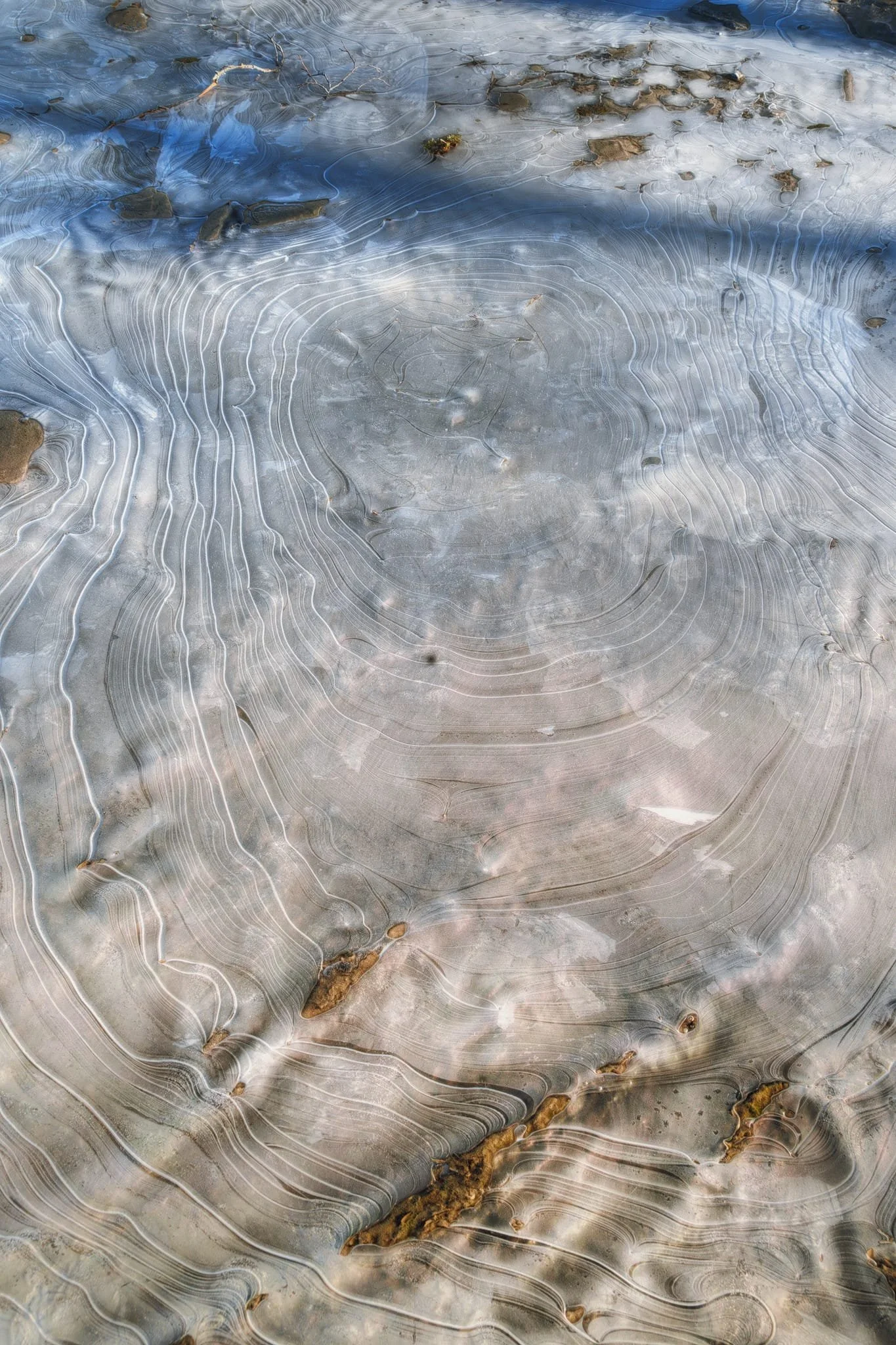 More concentric ice patterns spotted at the Hodge Close car park. Puts me in mind of tree rings.