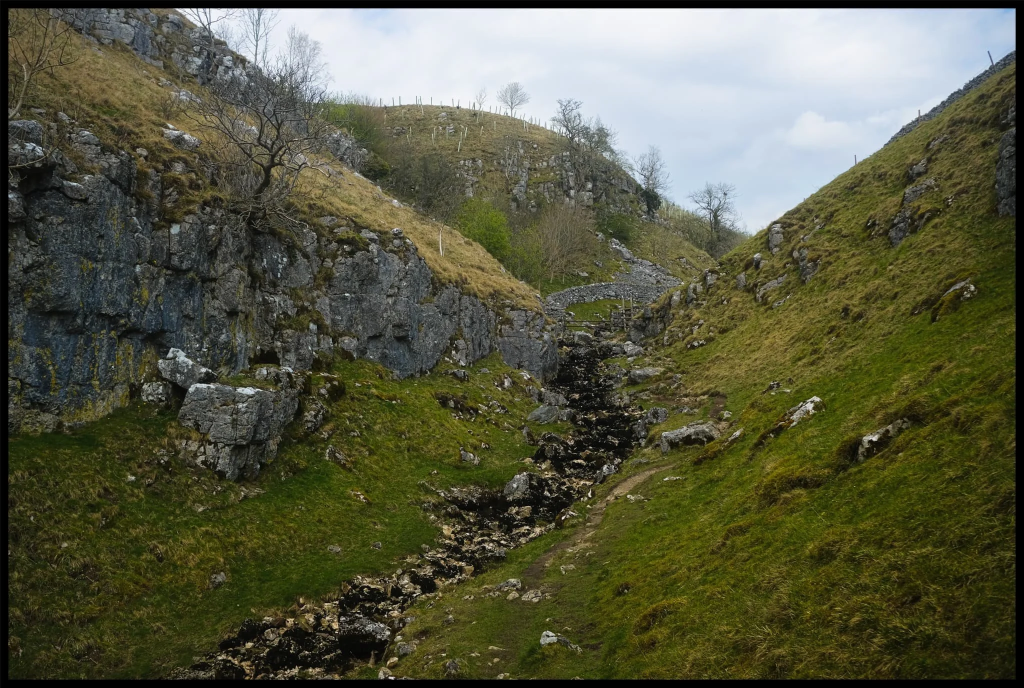  Near the top of Trollers Gill, where the beck mysteriously disappears into the unfathomably twisted caves underneath. 