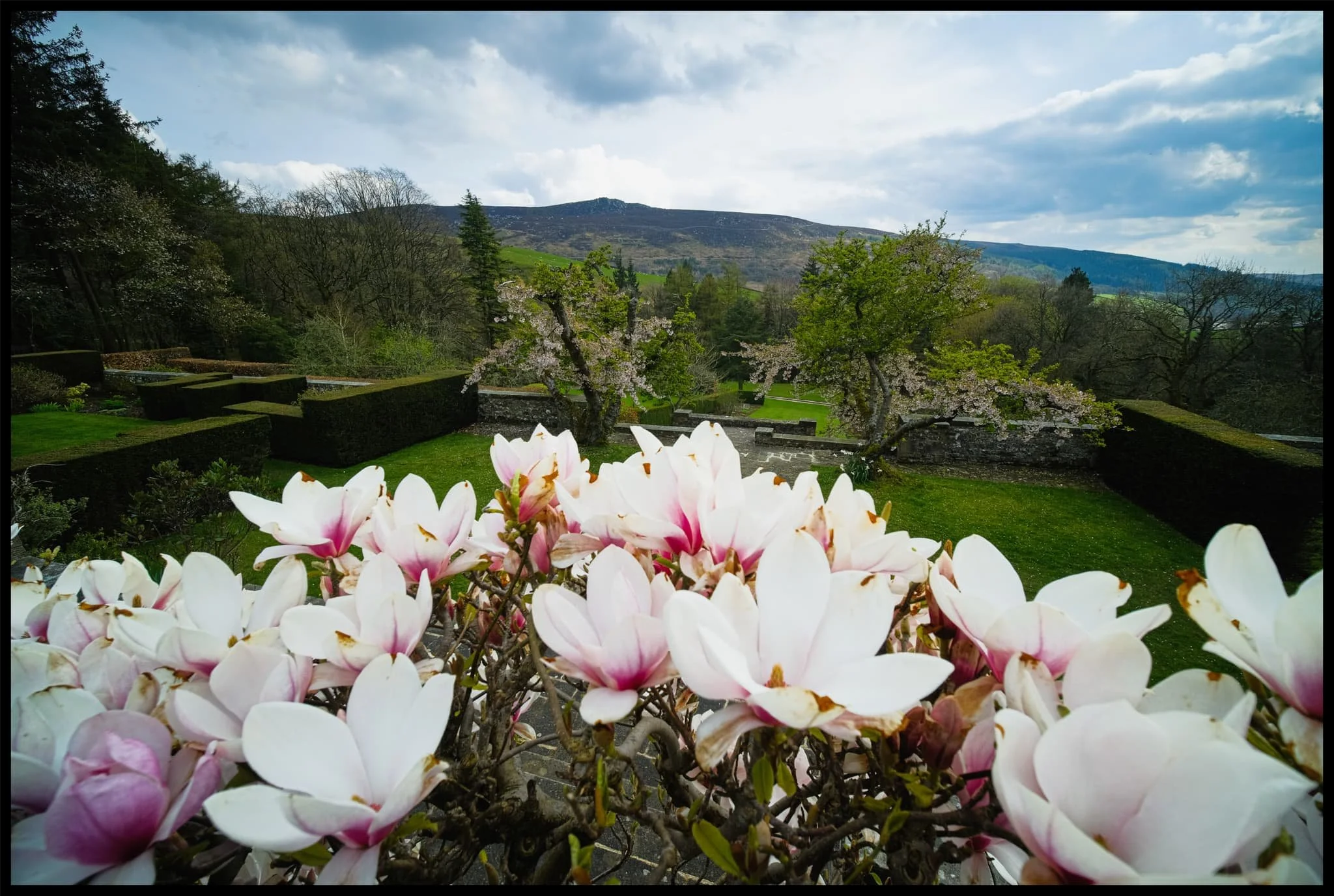  People can visit and explore the gardens between April and October. It enjoys fabulous views and beautiful displays. 