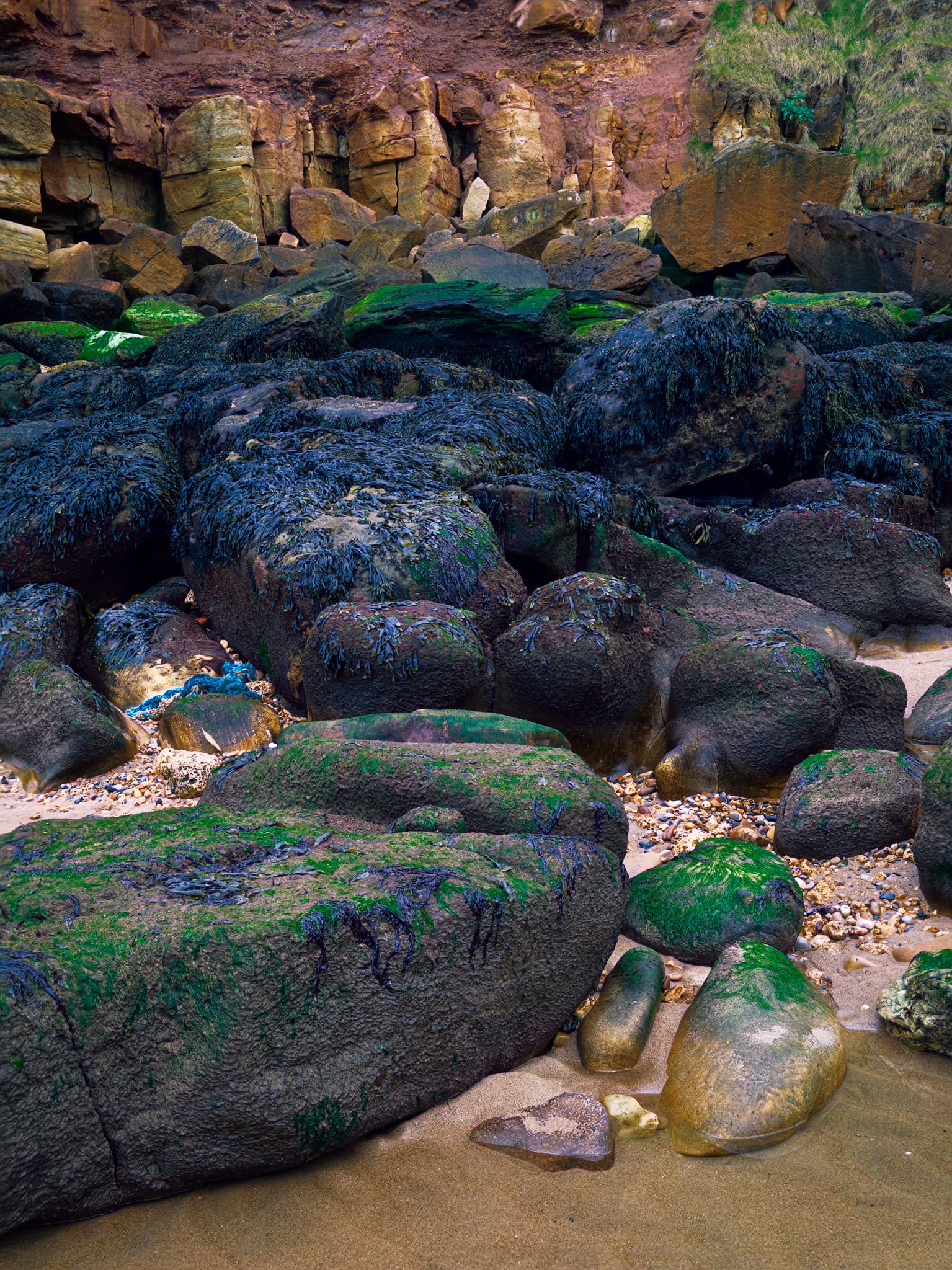 A riot of colours and shapes amongst the boulders and cliff face.