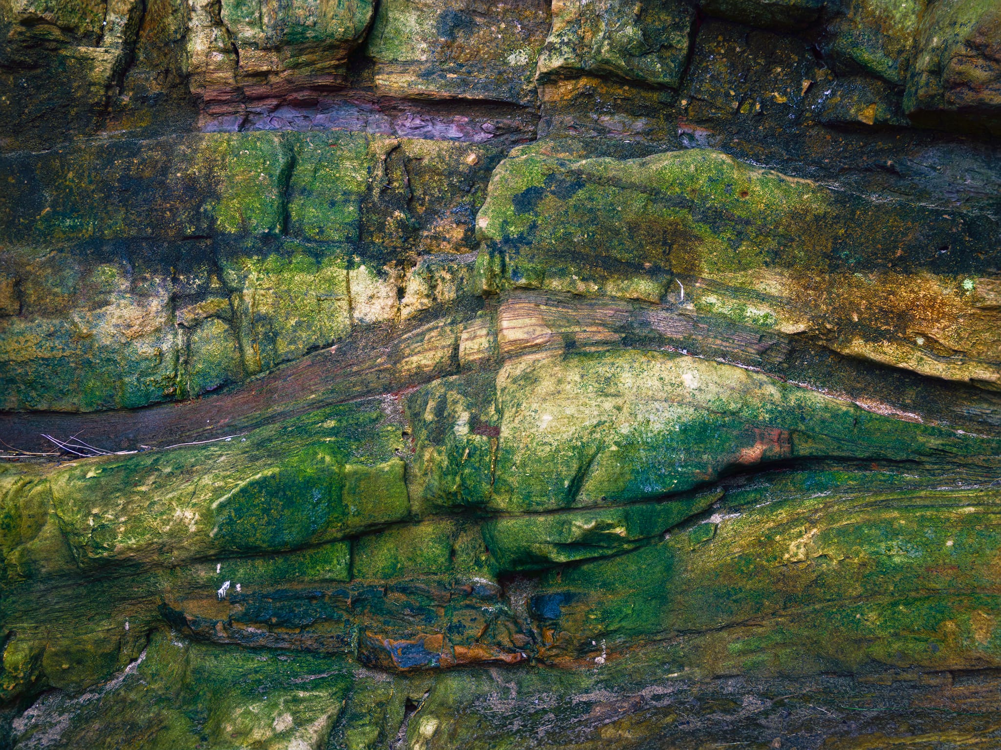 It&rsquo;s crazy what the elements and lots of time can do to rocks. Here, layered Carboniferous sandstones, cross-bedded by ancient currents and fractured by millennia of stress, blaze green with algae. A haematite-rich seam bleeds purple near the top.