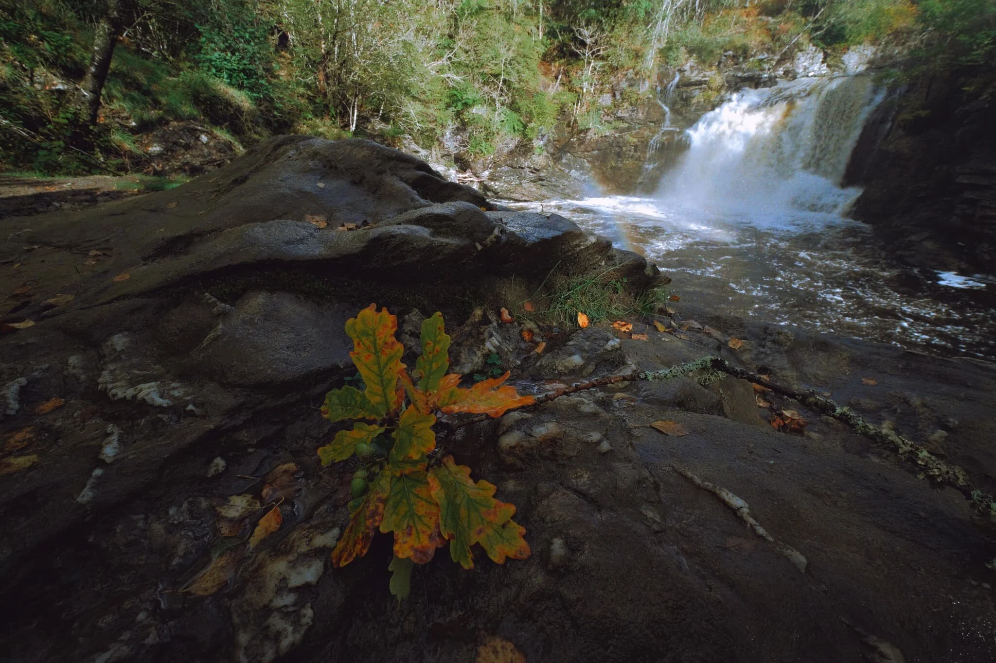  A fallen twig with a solitary leaf provided the perfect foreground subject for this 9mm ultra-wide composition as the falls became illuminated by the sun. 