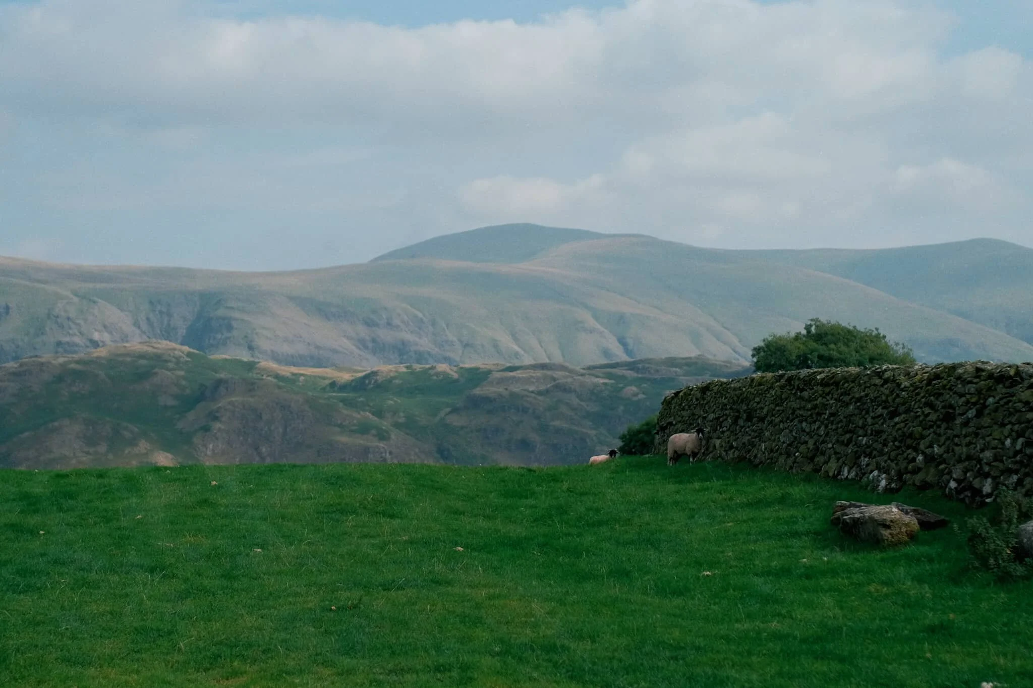  The Helvellyn range above, with High Rigg and Low Rigg below. 