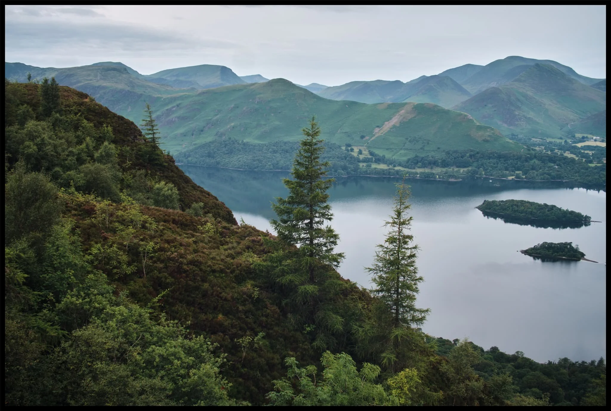  Walla Crag&rsquo;s cliff face is lush, chock-full of fern, trees, heather, and loads of other flora. Lisabet discovered a small bilberry bush, and helped herself to a couple of the tart berries. 
