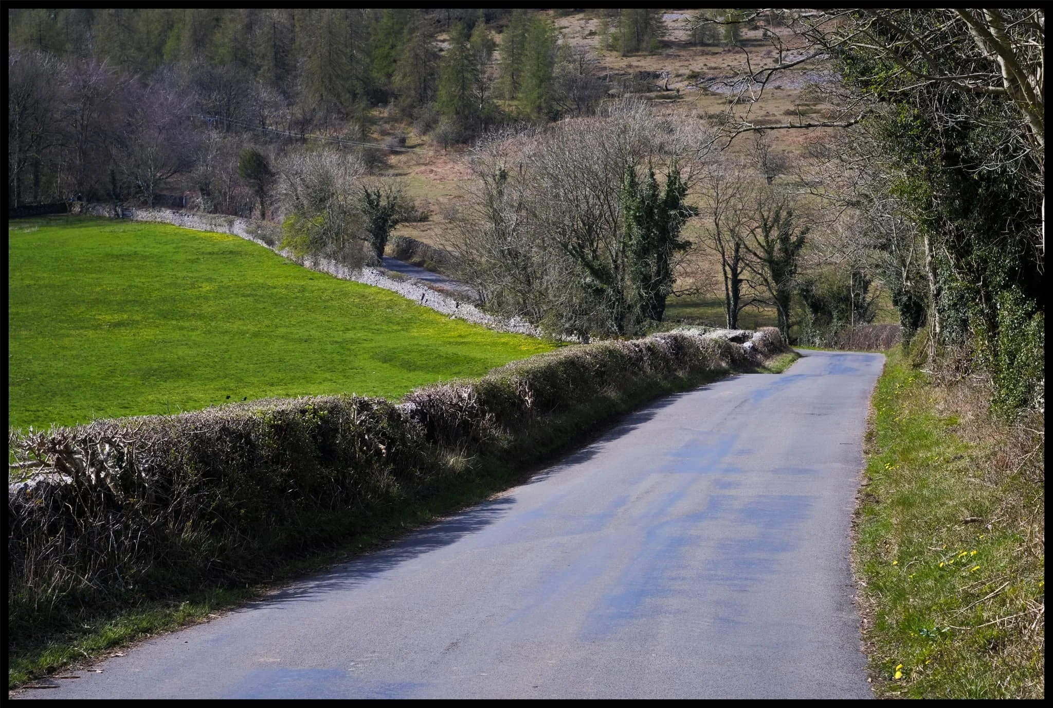  Warriner&rsquo;s Wood is up to the left. The sun finally comes out to play. 