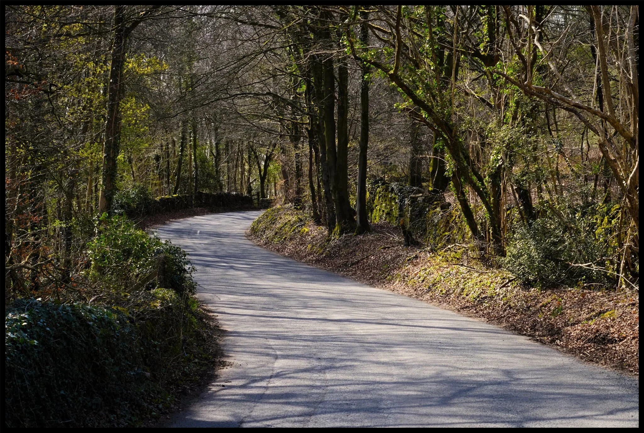  As the road starts winding ahead, a small opening in the drystone wall to our left gives us access down the slope to Warriner&rsquo;s Wood. 