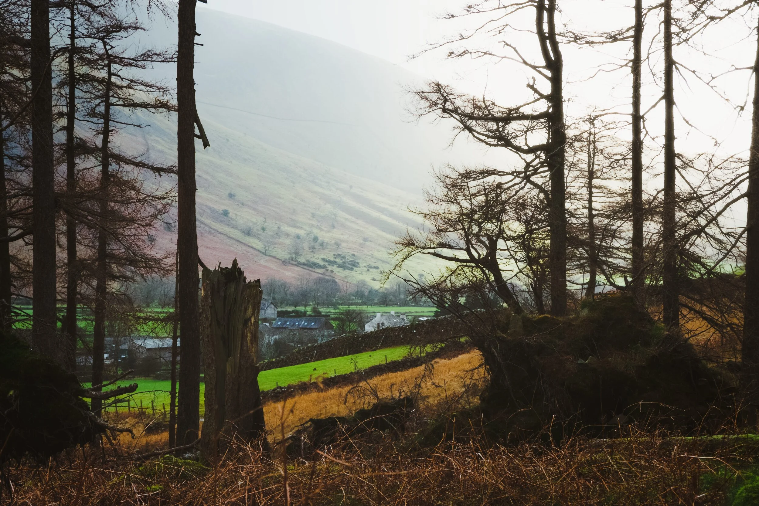 A shot of the light emerging from the overcast sky, which hit the slopes of Lingmell as we climbed back out of the gill containing Ritson’s Force. I tried to use the trees as a framing device.