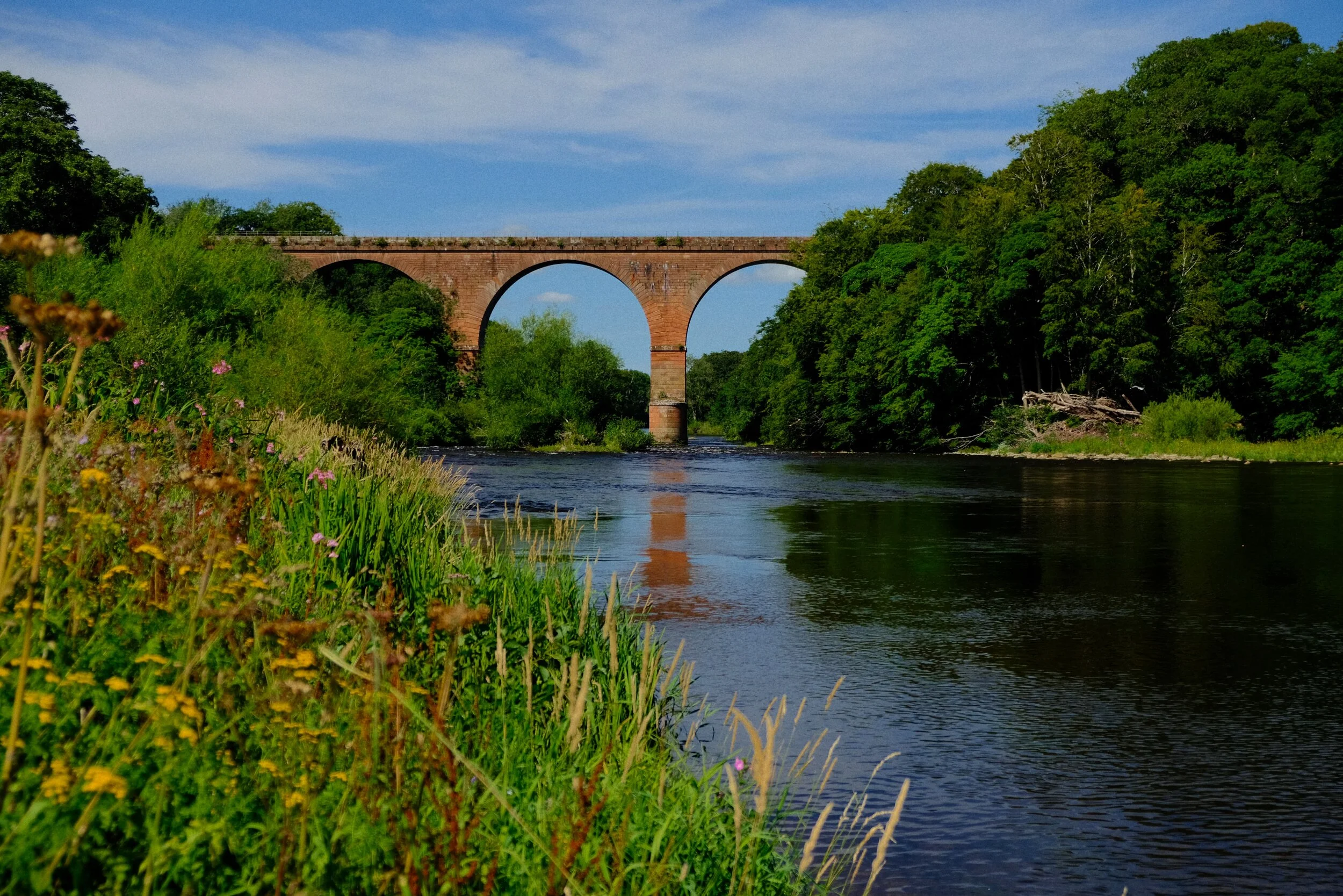 Corby Bridge, also known as Wetheral Viaduct, which carries the Newcastle–Carlisle railway (Velvia, IS800, f/3.7, 1/2000sec. @ 32.9mm)