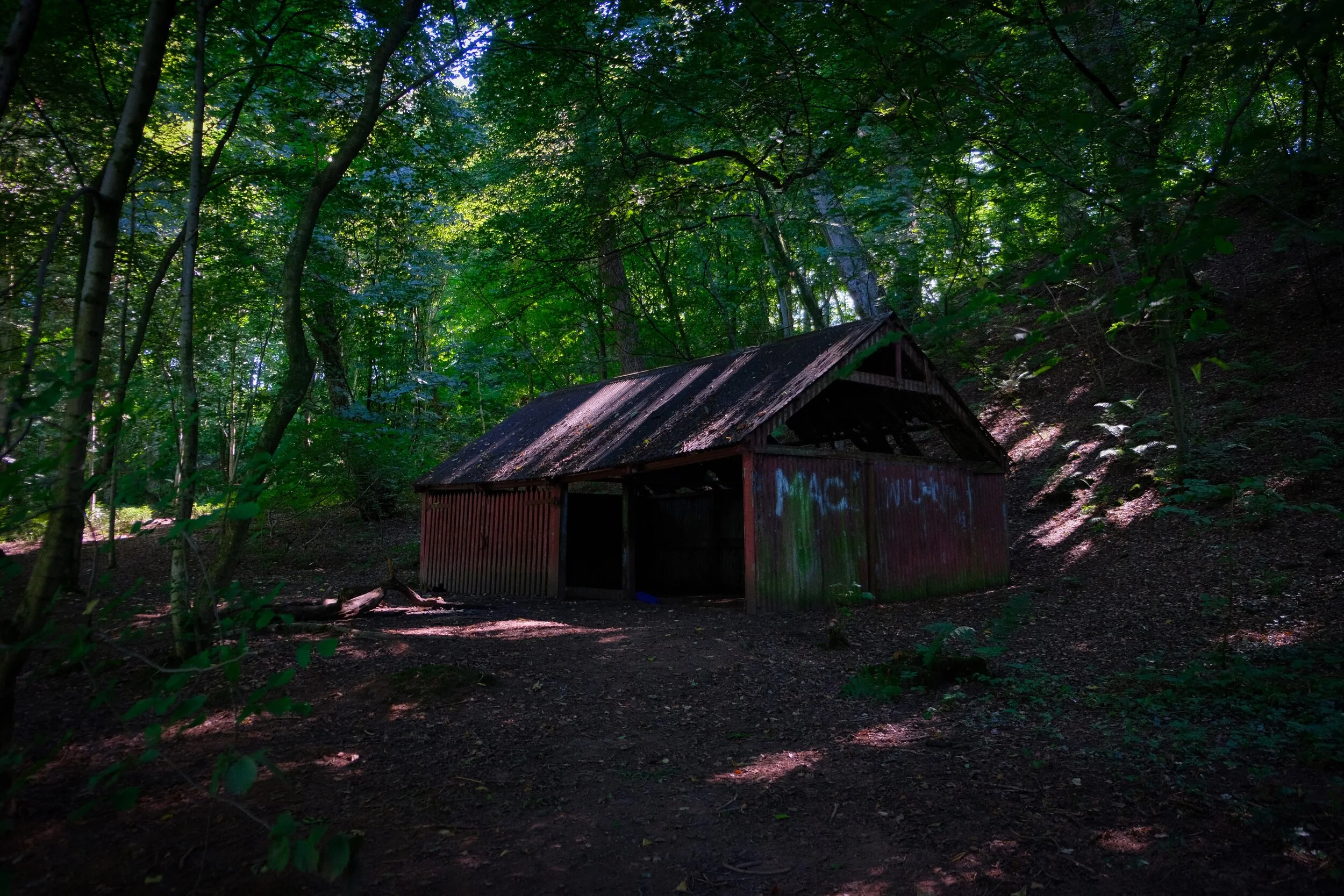 No idea what this is or why it’s in an ancient woodland… (Provia, ISO800, f/3.0, 1/20sec. @ 18mm)