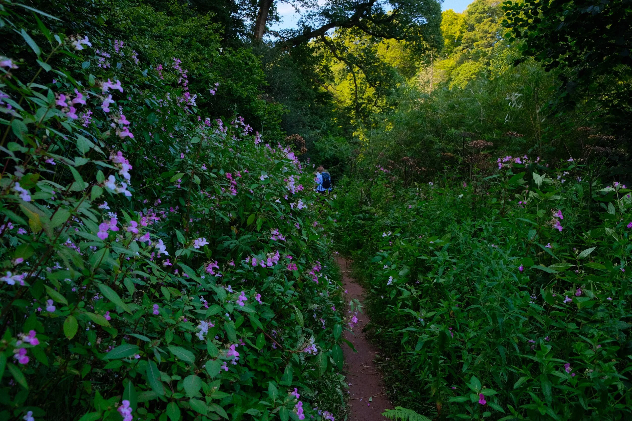 There were a lot of bobby tops by the River Eden (Provia, ISO800, f/3.4, 1/200sec. @ 18mm)