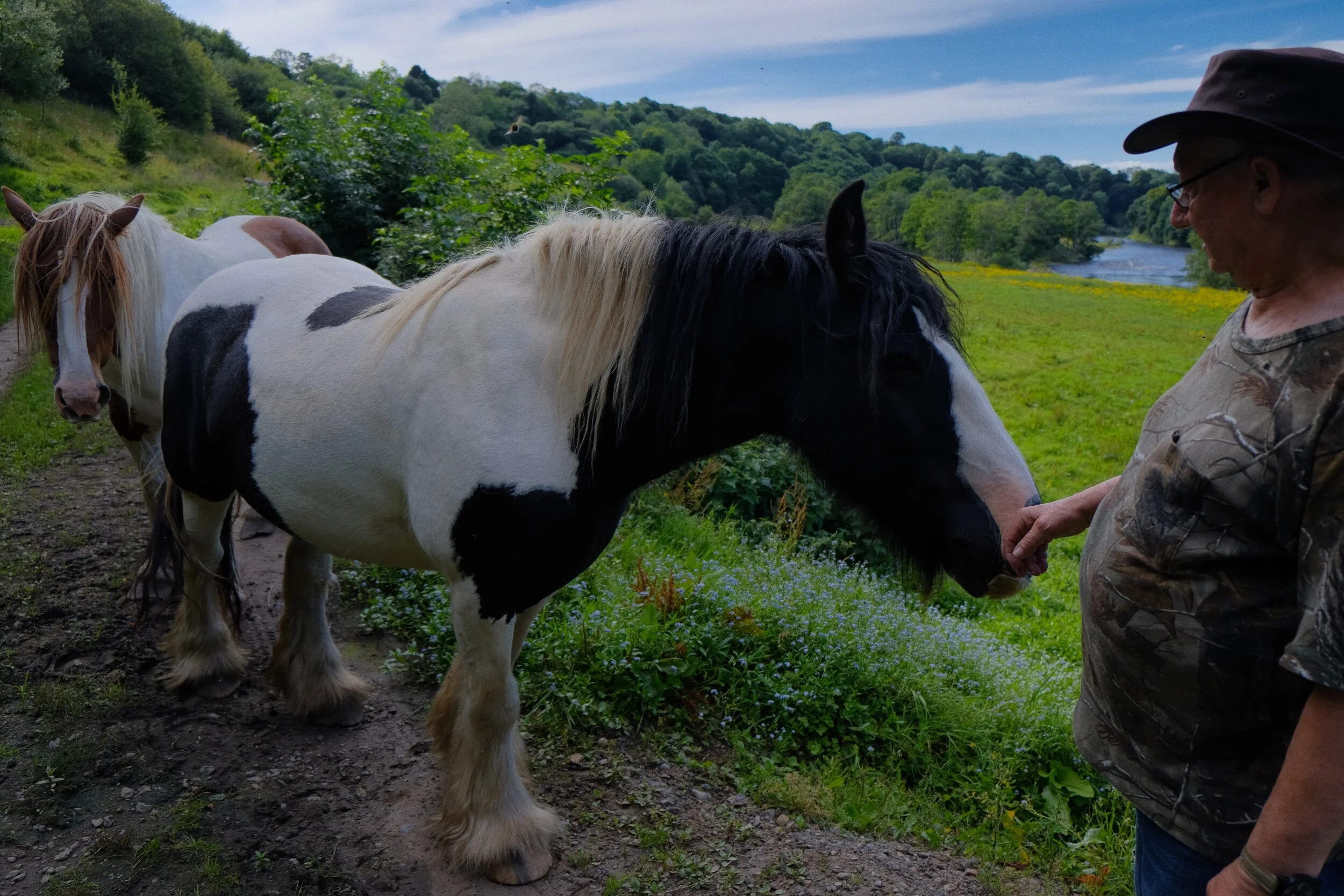 Climbing away from the river back up to the country lanes, we came across two very curious horses (Shire? Clydesdale? Couldn’t say). They were cute, we made friends (Astia, ISO800, f/3.2, 1/800sec. @ 18mm)