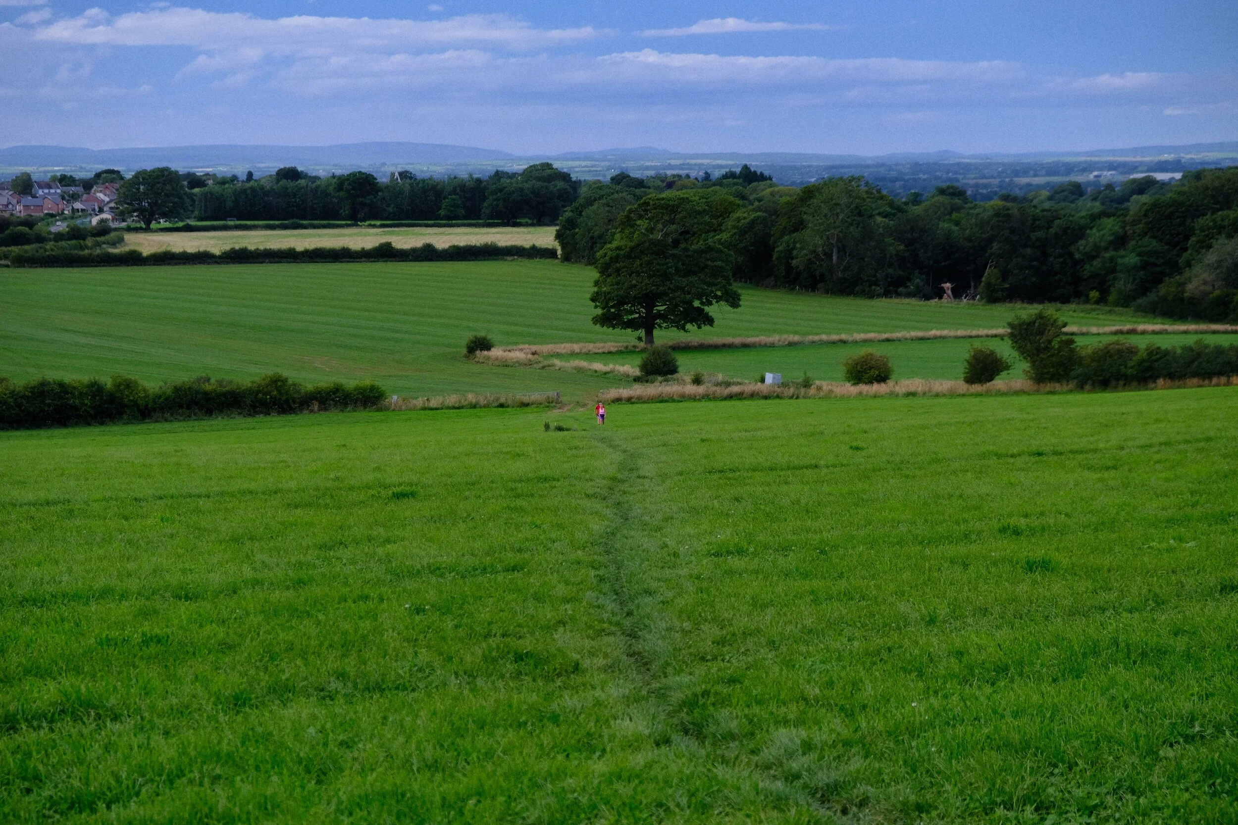 The way back to Wetheral, all the way through the fields (Velvia, ISO800, f/4.0, 1/800sec. @ 55mm)