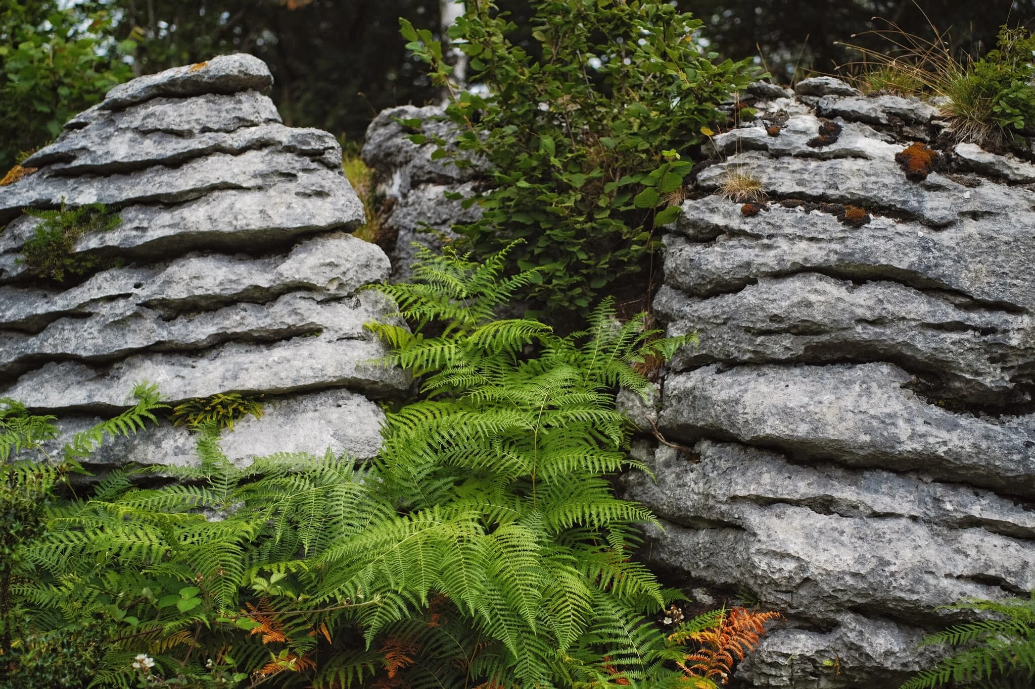 Two pillars of limestone, putting me in mind of a bee hive or something. Incredible.