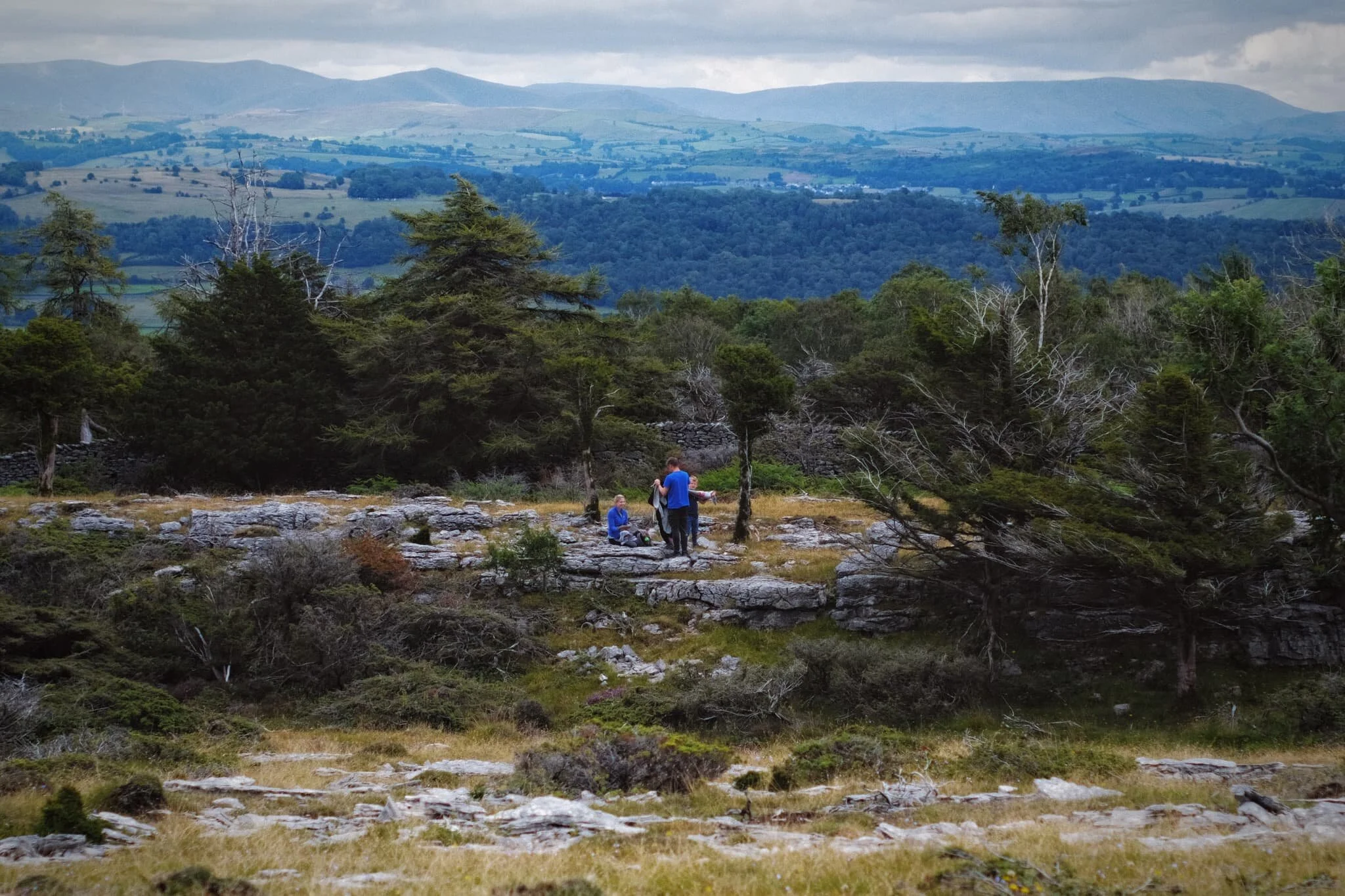 As we gain height the views of the surrounding fells open up. A young family play around the limestone escarpment that forms a natural boundary for the Nature Reserve. In the hazy distance lies the Howgills .