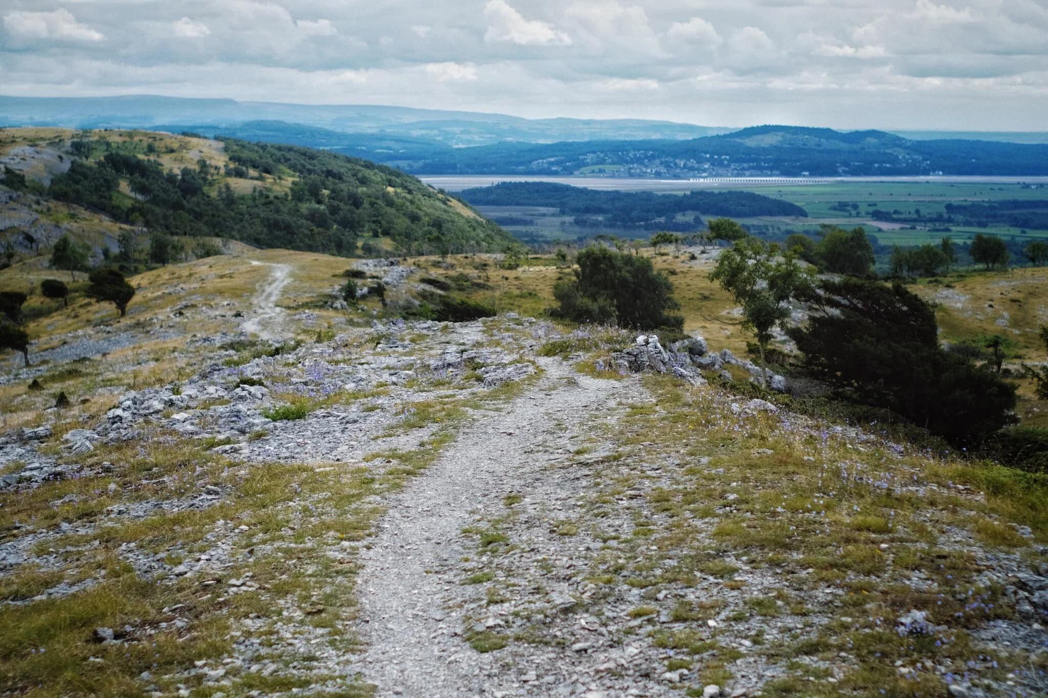 The view south from Lord’s Seat. Rather lovely isn’t it? To the right is the coastal village of Arnside with Arnside Knott above it, and in the far distance is the edge of the Yorkshire Dales.