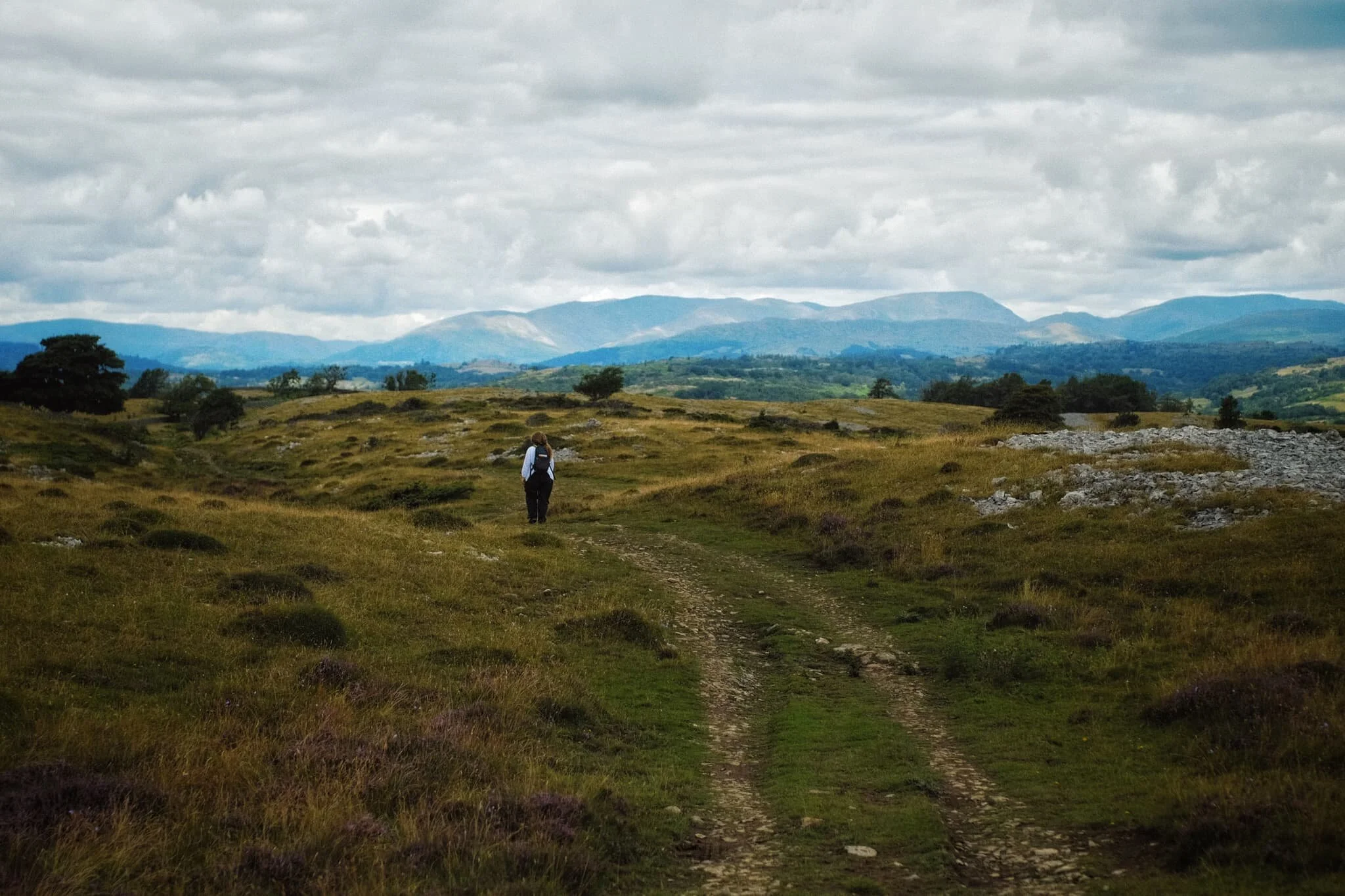 I followed Lisabet on a trail northwards, to see how the views opened up towards the Lake District fells. The clarity was rather lovely.