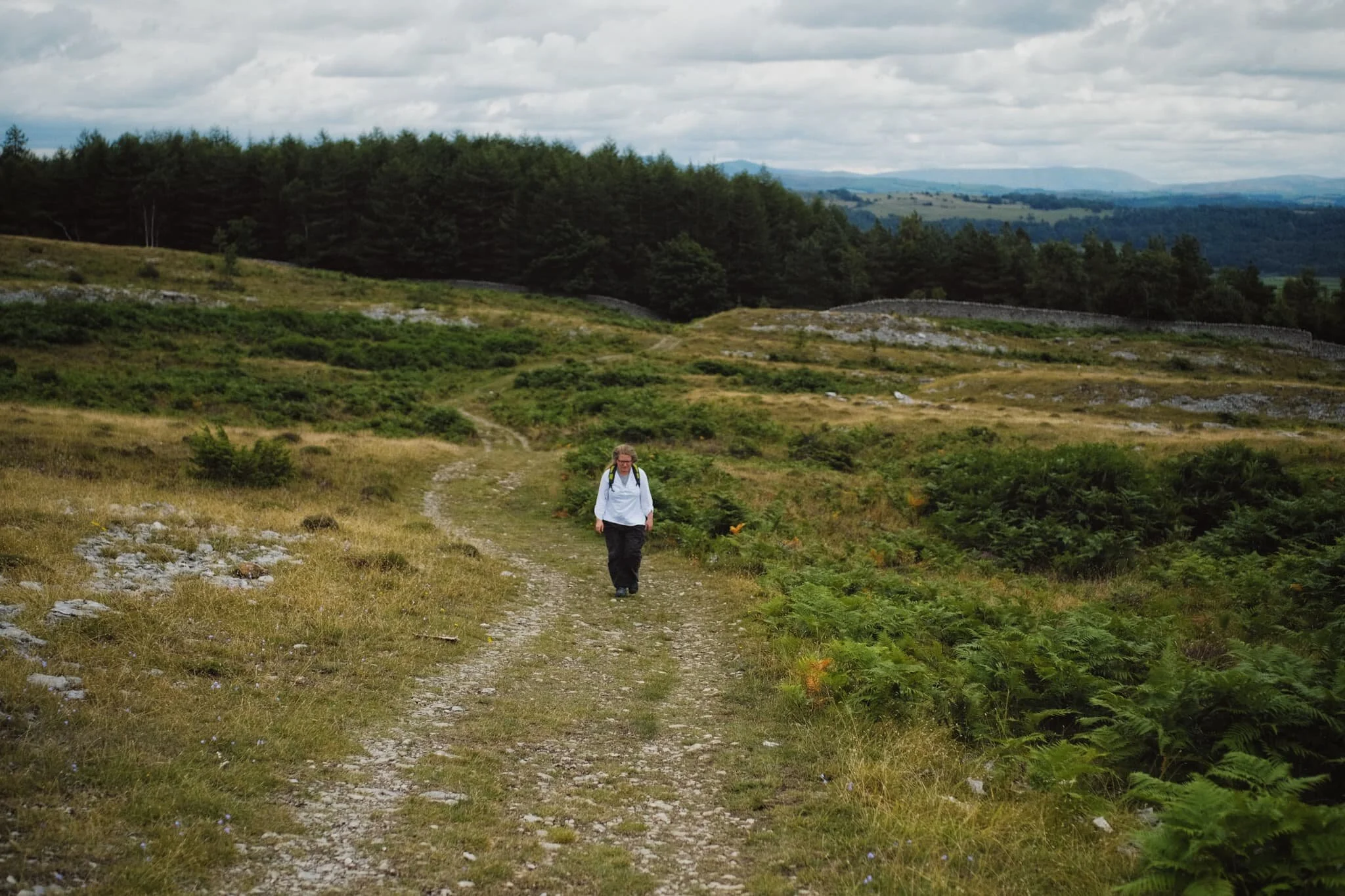 Looking back at the woodland we navigated through to get onto the open fellside.