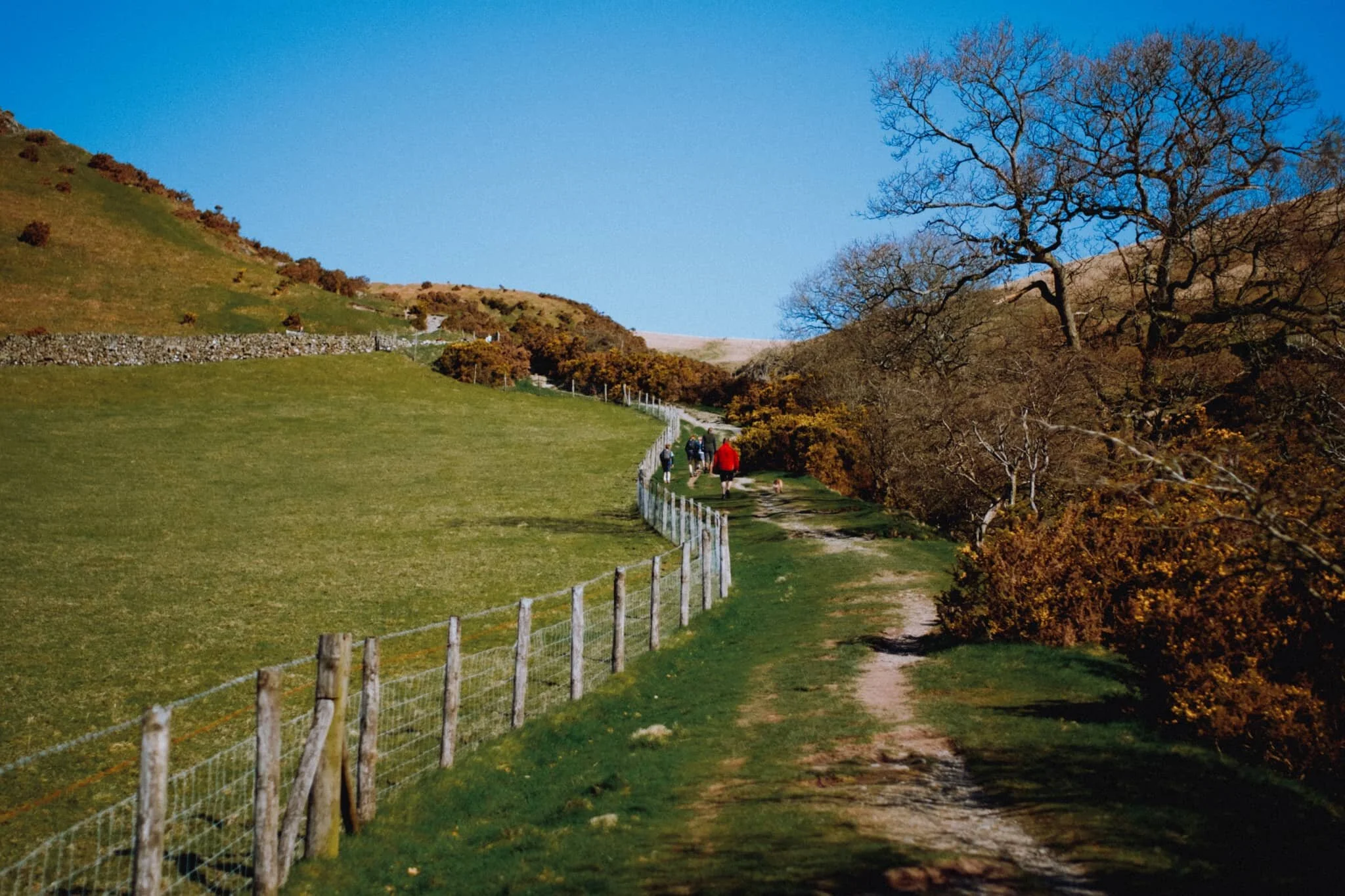 There were plenty of others out and about on the Howgills too, and on such a beautiful day I don’t blame them.