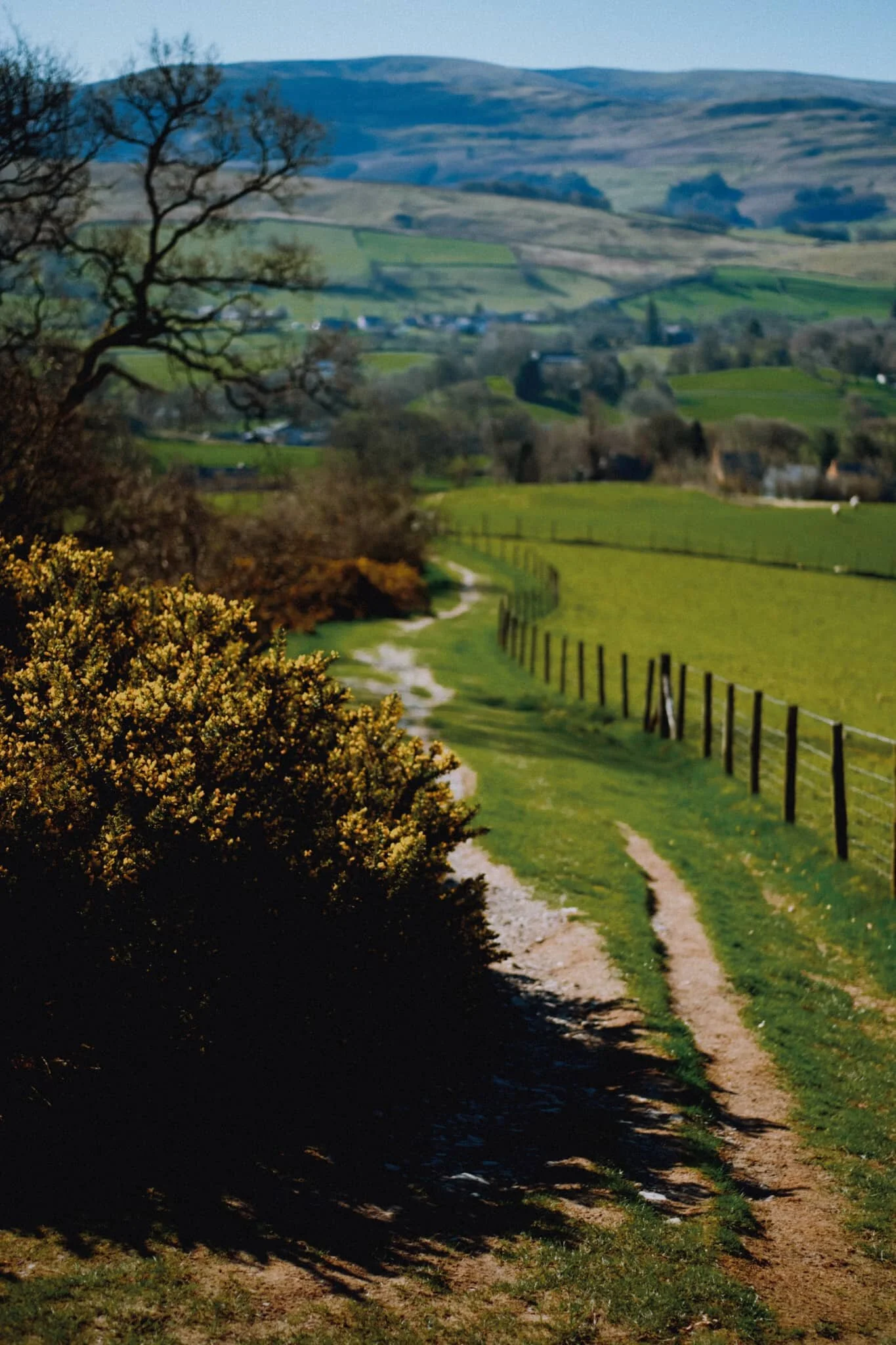 Looking back the way we came.