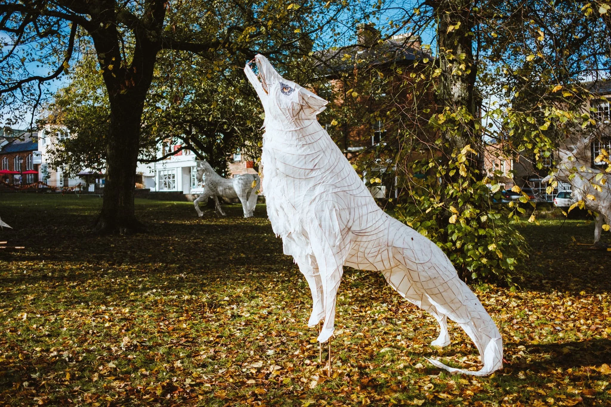  The sunlight hit this fantastic wolf lantern just long enough for me to snap a composition. 
