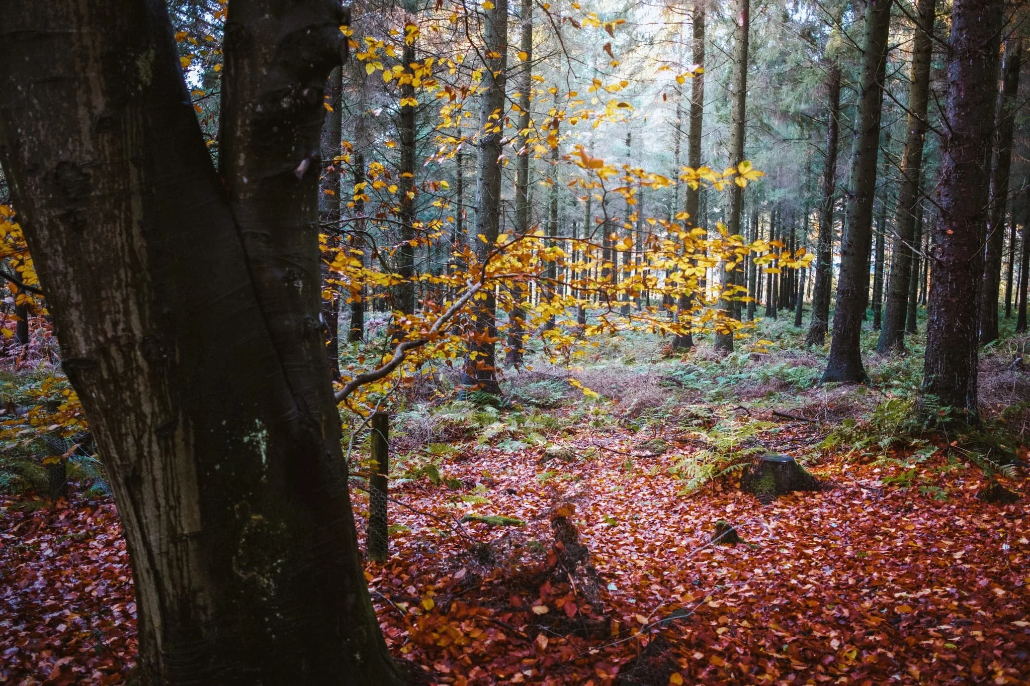  It was great to be back out again. 